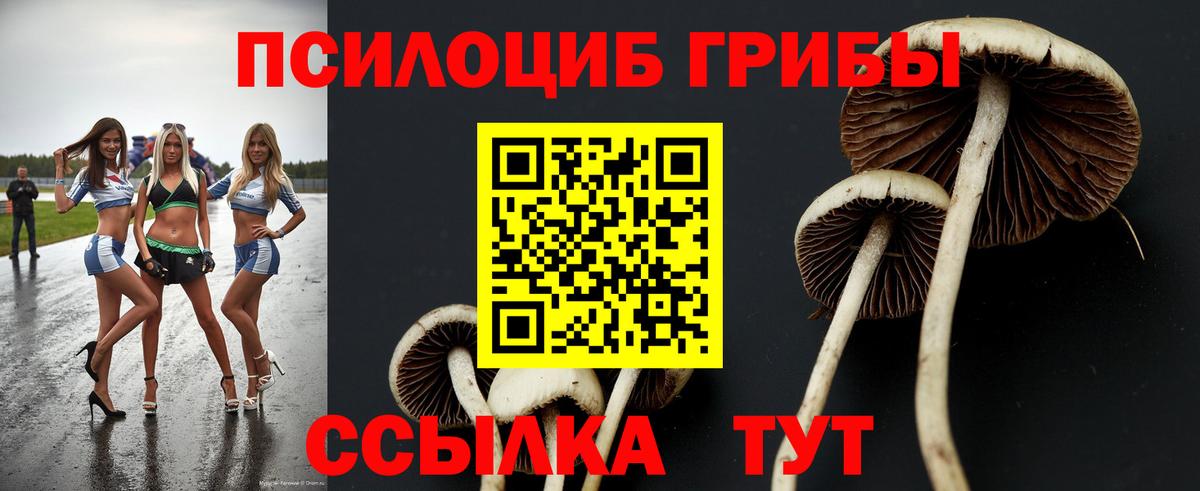 Галлюциногенные грибы Psilocybine cubensis Кстово