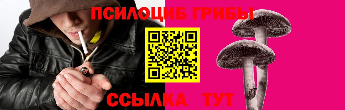 Псилоцибиновые грибы прущие грибы  Вход с VPN  Псилоцибиновые грибы MAGIC MUSHROOMS  Кстово 